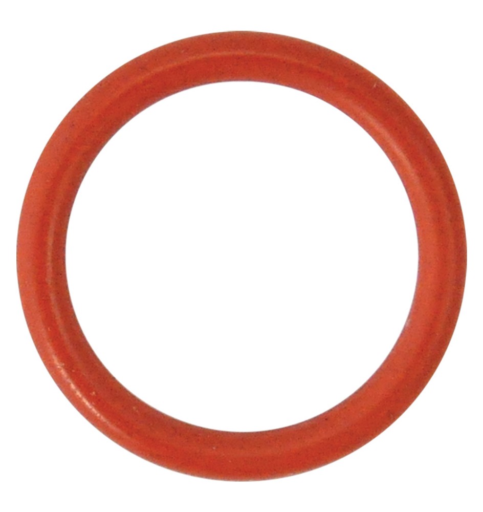 GUARNIZIONE O-RING PER PERNO per N 5 - mm 29,82 x 2,62