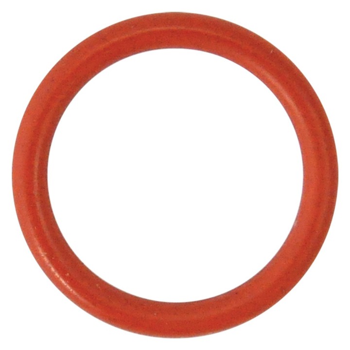 GUARNIZIONE O-RING PER PERNO per N 5 - mm 29,82 x 2,62