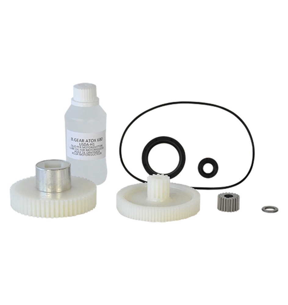 KIT RICAMBI PER MOTORIDUTTORE 'REBER' art. 1003