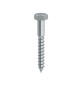 TIRAFONDO TE 10 X200MM ZINCATO