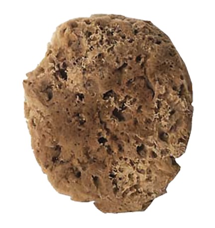 SPUGNA PER EFFETTI DECORATIVI tipo naturale - cm. 14