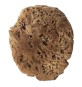 SPUGNA PER EFFETTI DECORATIVI tipo naturale - cm. 14