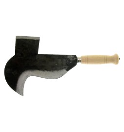 PENNATO 'FROSINONE' cm 22