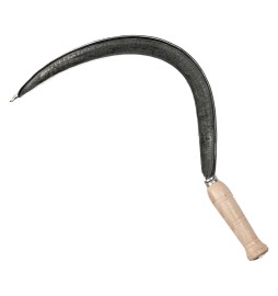FALCIOLA LISCIA N. 3
