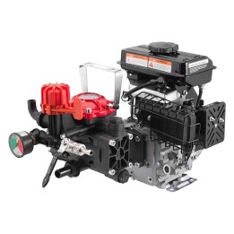 MOTOPOMPA IRRORATRICE 'AR BLUE FLEX' mod.AR 252 S Hp 2,3