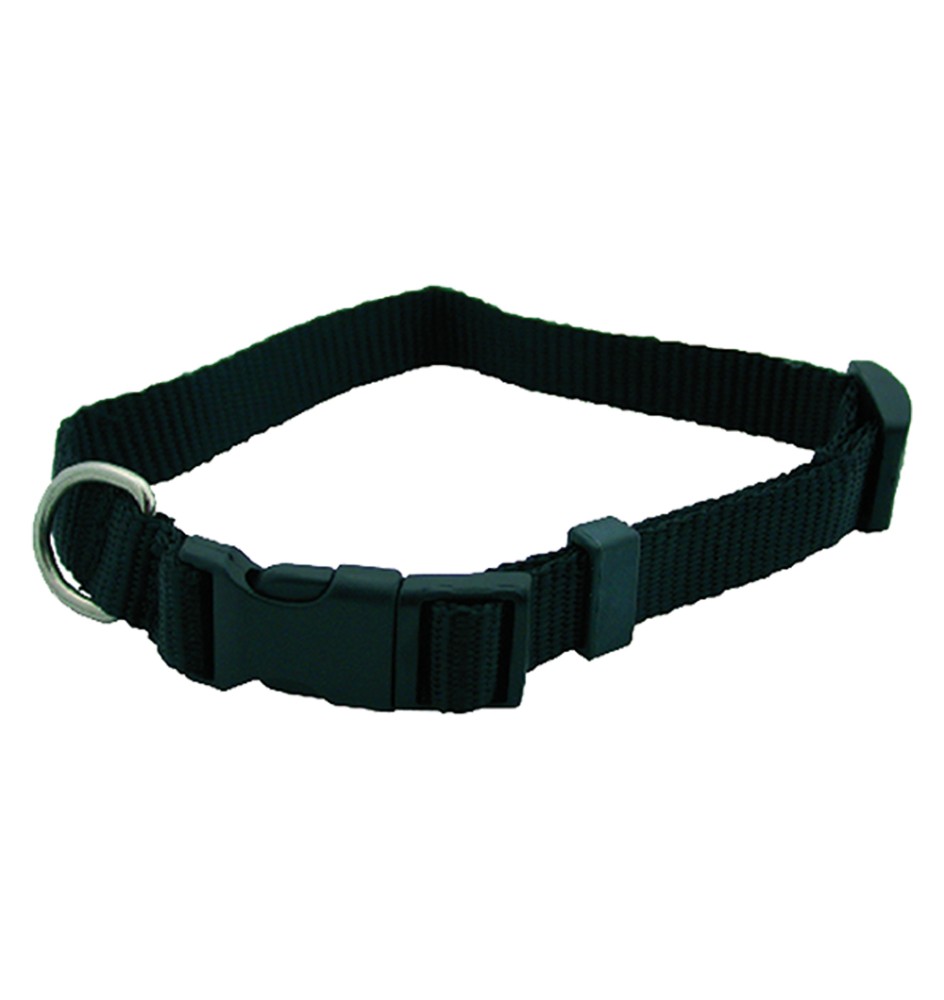 COLLARE PER CANE mm 12 x cm 30