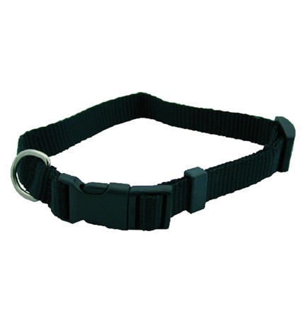 COLLARE PER CANE mm 20 x cm 50