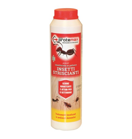 INSETTICIDA IN POLVERE kg 1 - busta