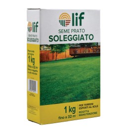 SEMI PER PRATO SOLEGGIATO Kg. 1