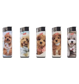 ACCENDINO 'Poodles'