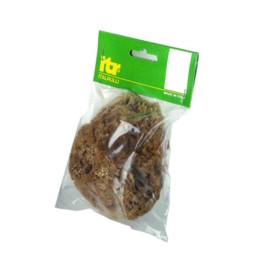 SPUGNA MARINA NATURALE 14 CM P/PITTURE SM