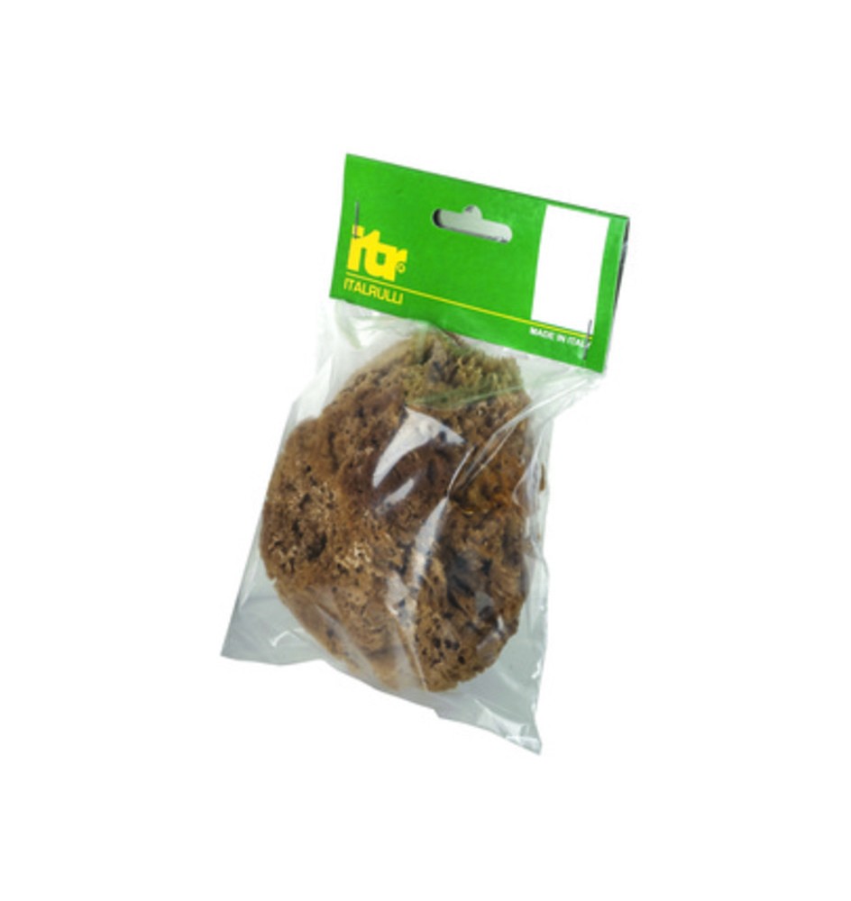 SPUGNA MARINA NATURALE 14 CM P/PITTURE SM