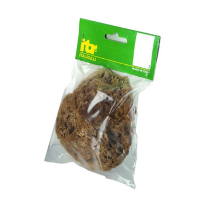 SPUGNA MARINA NATURALE 14 CM P/PITTURE SM