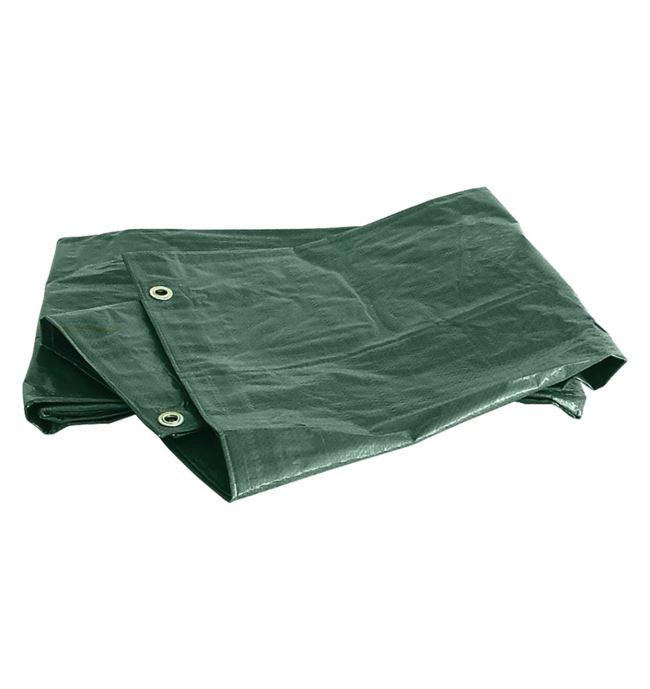 TELONE OCCHIELLATO 'EXTRA PESANTE' mt 8 x 10 - 280 gr./mq