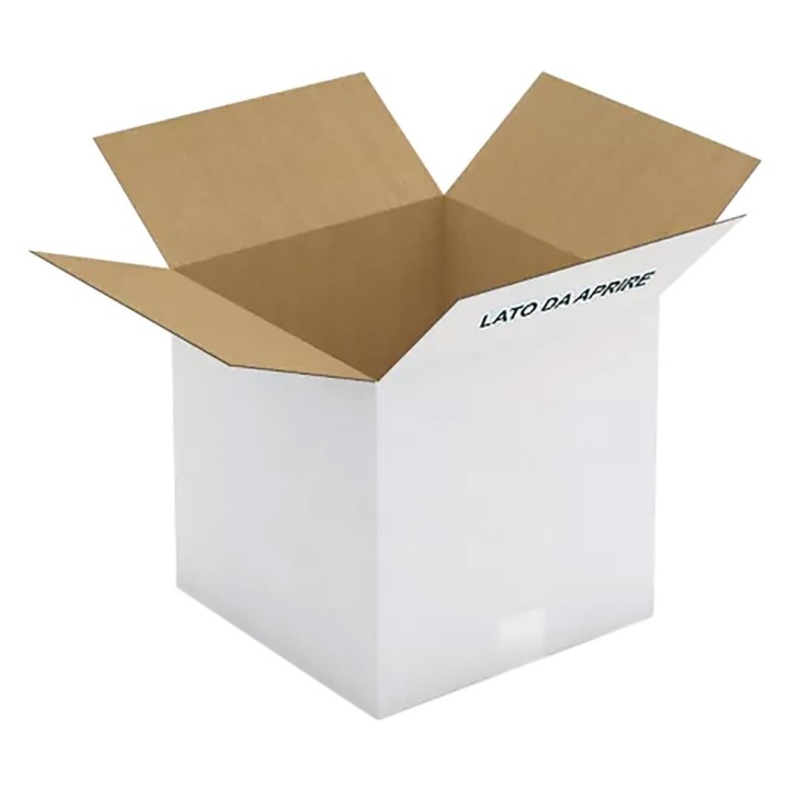 SCATOLA PER LATTE OLIO IN CARTONE per 4 latte da 5 lt - cm 30,5 x 25 x h.31