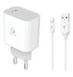 SET DI CARICA DA MURO A SINGOLA USB cavo USB attacco Tipo C (pot.max 18W)