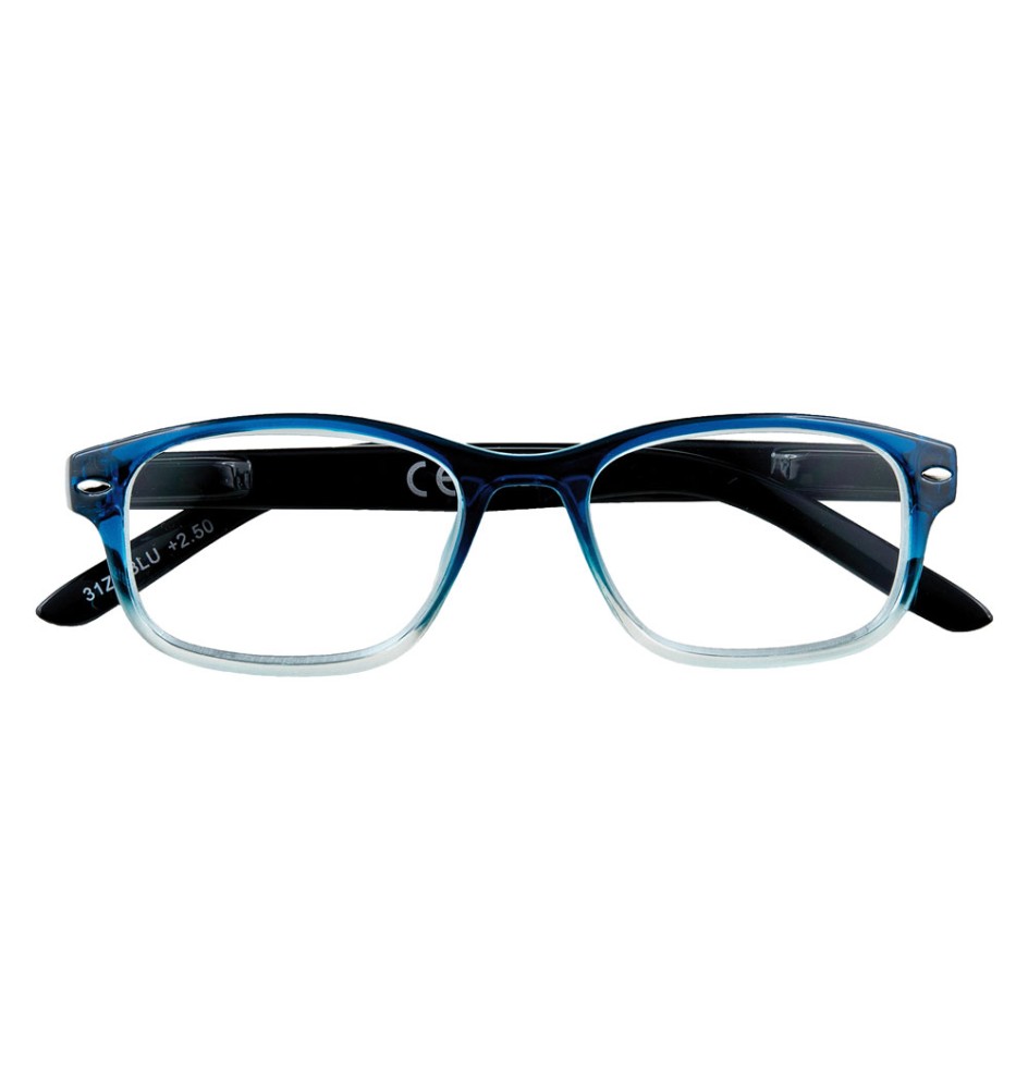 OCCHIALI PER LETTURA 'B1-BLU' + 2,50