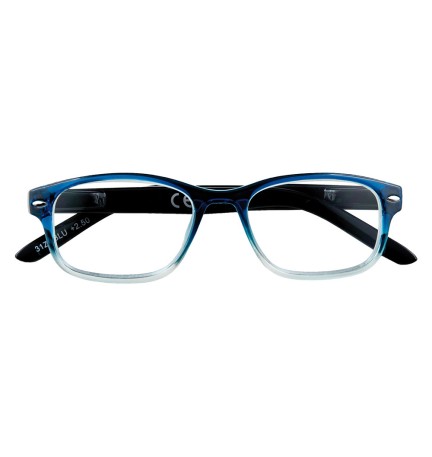 OCCHIALI PER LETTURA 'B1-BLU' + 2,50