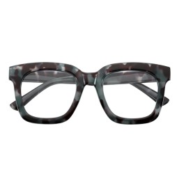 OCCHIALI PER LETTURA MODELLO 'SOUTH CAROLINA TARTARUGA/AZZURRO' + 1,0