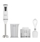 FRULLATORE AD IMMERSIONE 750W C/ACCESSORI