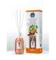 DIFFUSORE OFFICINA DEI FIORI 500ML ARANCIA E CANN