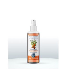 SPRAY AMBIENTE OFFICINA DEI FIORI 150ML ARANCIACAN