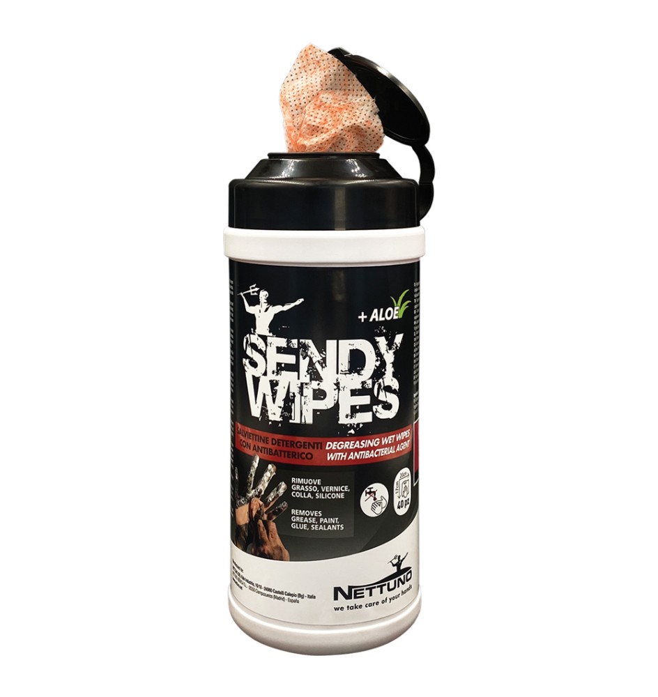 SALVIETTE UMIDIFICATE 'SENDY WIPES' 80 salviette - cm 19,5 x 26