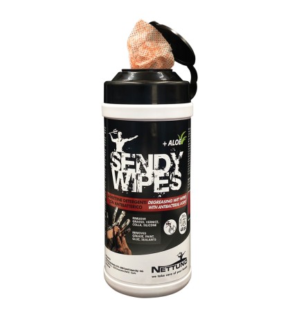 SALVIETTE UMIDIFICATE 'SENDY WIPES' 80 salviette - cm 19,5 x 26