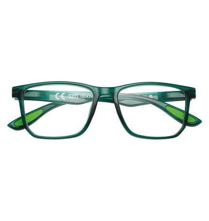 OCCHIALI PER LETTURA 'G8-CRV' + 1,00