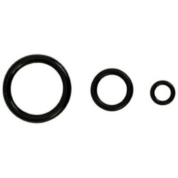 ANELLI O' RING 35.6 x 3.6 mm