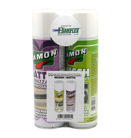 KIT CONDIZIONAMENTO MUSSH + BATTIX 500 ml