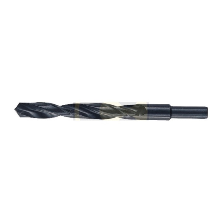 BL PUNTA HSS CODOLO 10 MM D 15 MM
