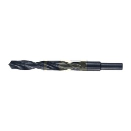 BL PUNTA HSS CODOLO 10 MM D 16 MM