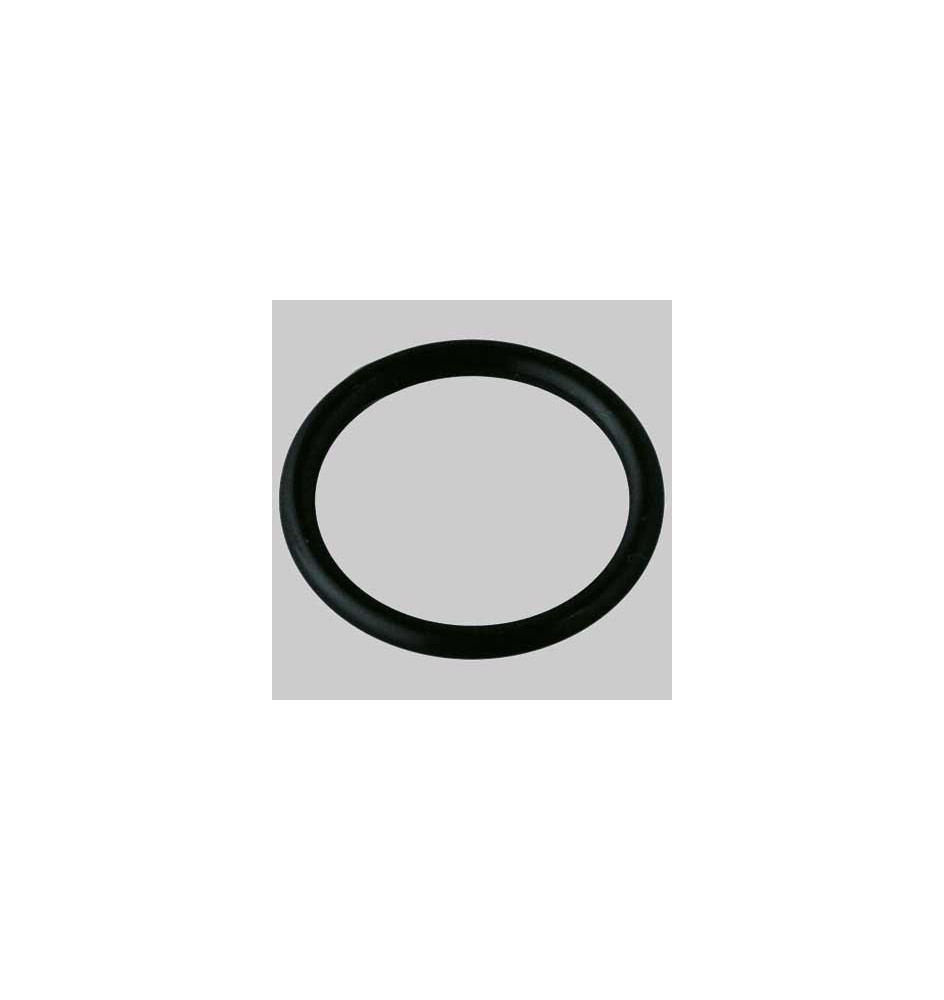 GUARNIZIONE O-RING PER CODOLO - Ø 48