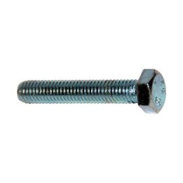100 PZ VITE TESTA ESAGONALE SKS M8 x L.50 mm Chiave 13 mm