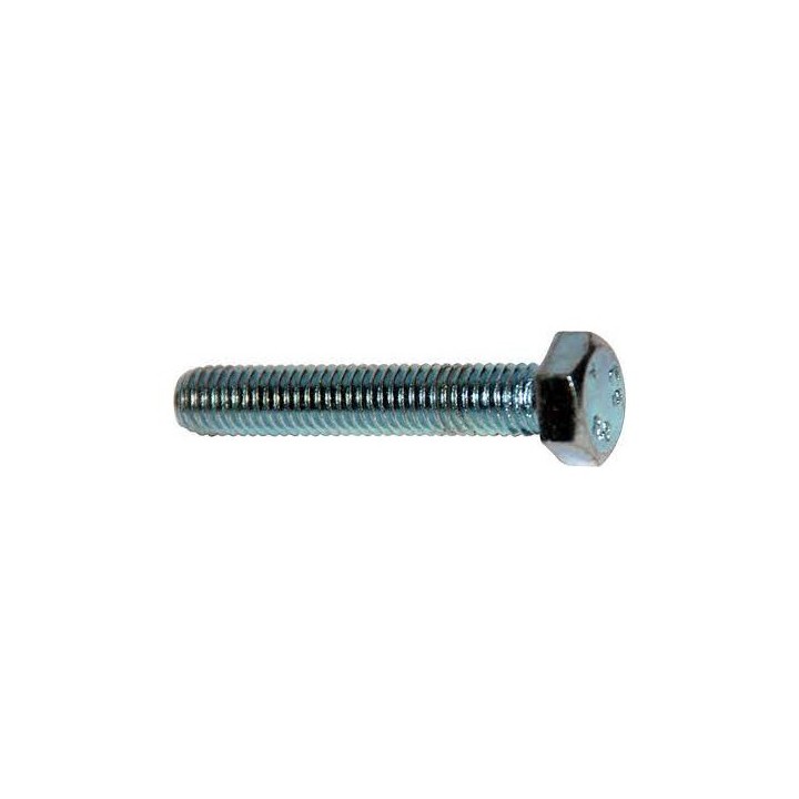 100 PZ VITE TESTA ESAGONALE SKS M8 x L.50 mm Chiave 13 mm