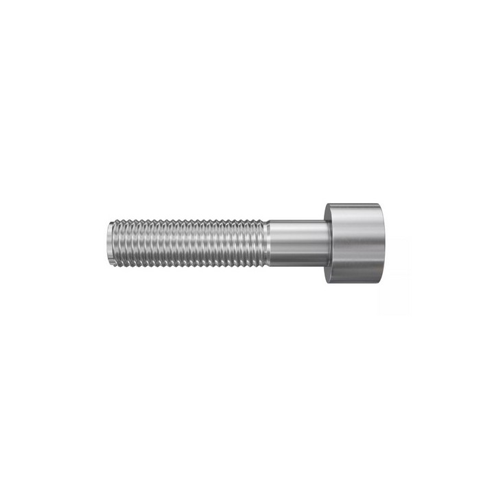 VITE TESTA CILINDRICA M8x30