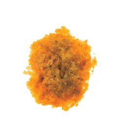 SC GOMMA LACCA 40 G