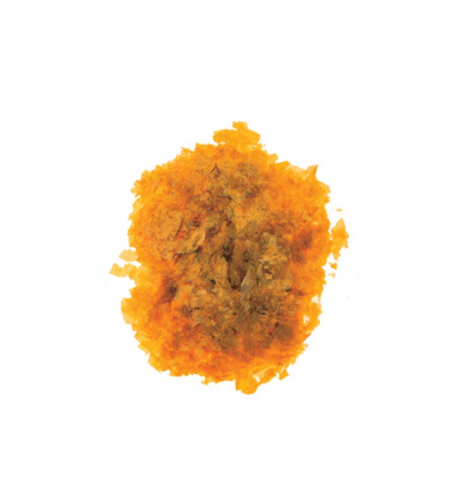 SC GOMMA LACCA 40 G