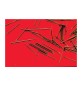 SC GRUPPINI ACCIAIO OTTONATO 1,2X20 MM 80 G*