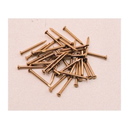 SC CHIODI TESTA BOMBATA OTTONE 1,8X25 MM 60 G*