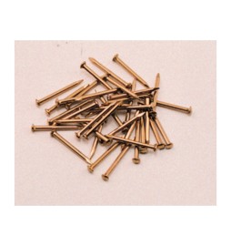 SC CHIODI TESTA BOMBATA OTTONE 1,8X30 MM 60 G*