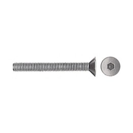 SC VITI P/BUSSOLA T.S.P. ESAG INC 6MA 50 MM 10 PZ