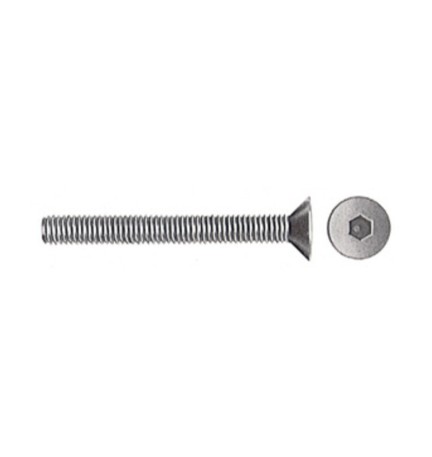 SC VITI P/BUSSOLA T.S.P. ESAG INC 6MA 50 MM 10 PZ
