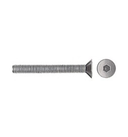 SC VITI P/BUSSOLA T.S.P. ESAG INC 6MA 60 MM 10 PZ