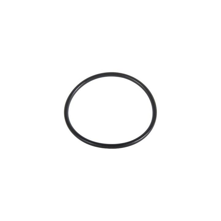 O.RING PER FILTRO 244-HYMFI 48.90 x 2.62 - Tipo E