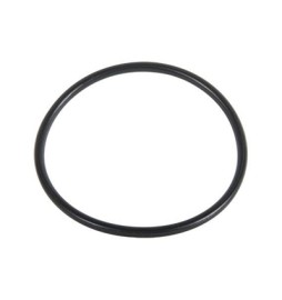 O.RING PER FILTRO 244-HYMFI 75.87 x 2.62 - Tipo F