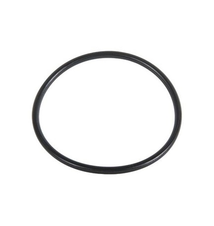 O.RING PER FILTRO 244-HYMFI 75.87 x 2.62 - Tipo F