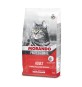 CIBO GATTO MORANDO 2 KG MANZO E POLLO