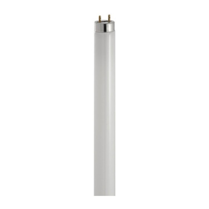 BEGHELLI TUBO FLUO T8 TRIMAX 58W CM 150